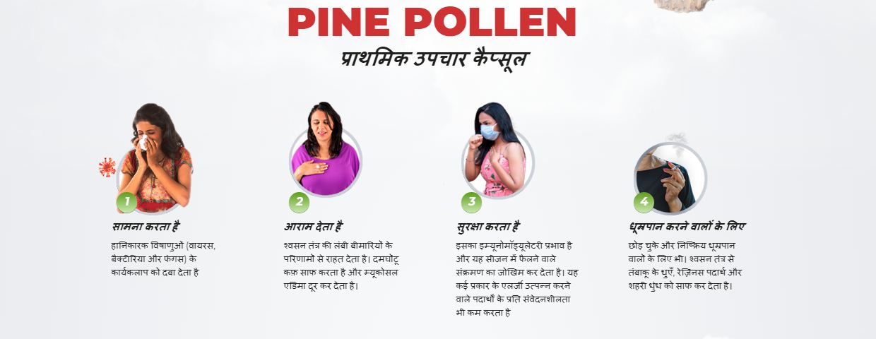 Pine Pollen – Dietary Supplement in India! Order Now