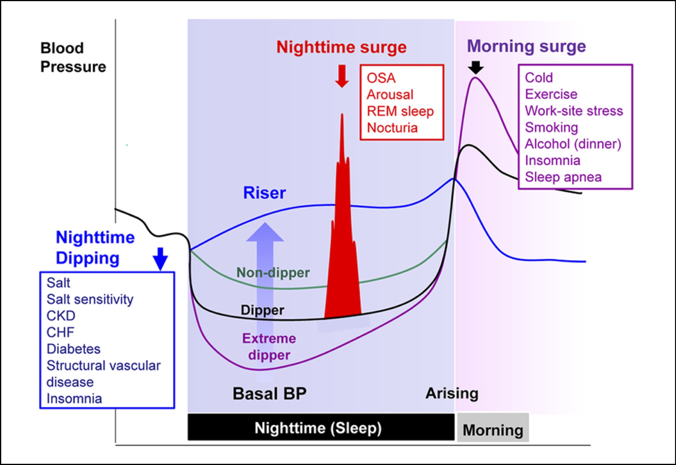 nocturnal_hypertension