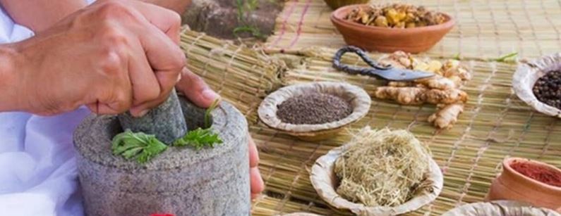 Ayurvedic Practitioner Shares Diabetes-Managing Herbs