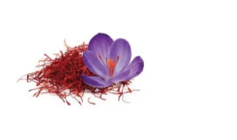 Saffron is This Month’s Featured Herb.