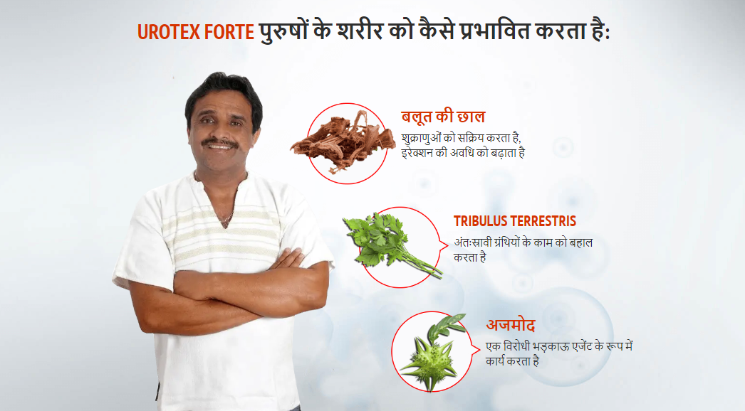 Urotex Forte Ingredients