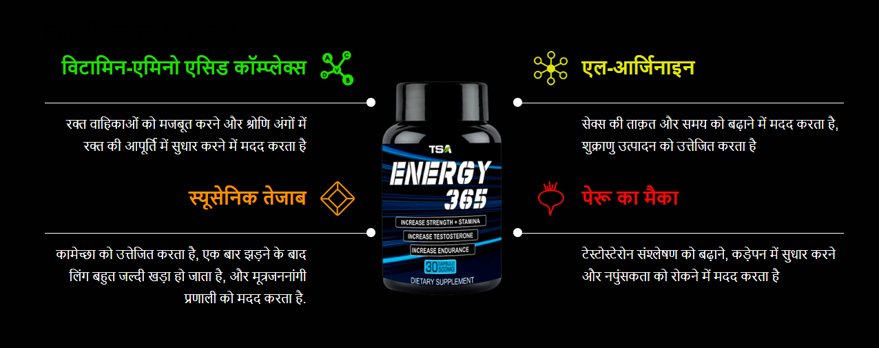 Energy365 Use in Hindi