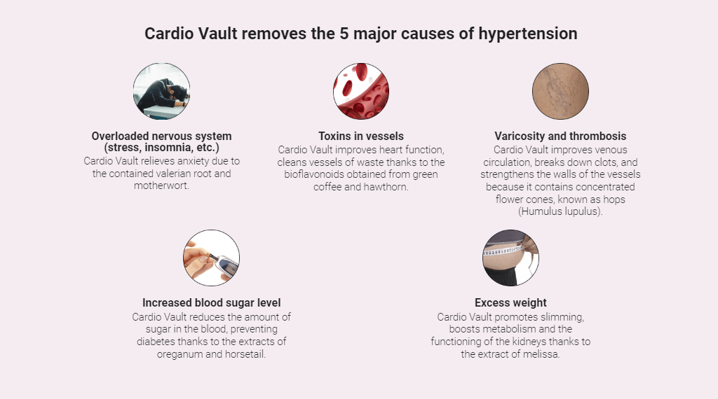 Cardio Vault Price in india